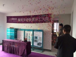 苏宁威尼斯水城