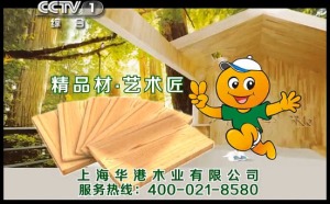 公司介绍