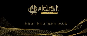 公司介绍